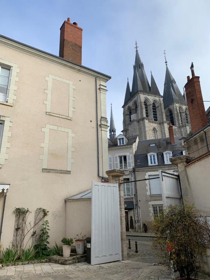 T2 - Au Calme Royaloire - Chateau A Vue - Luxe, Renove Blois Exterior photo